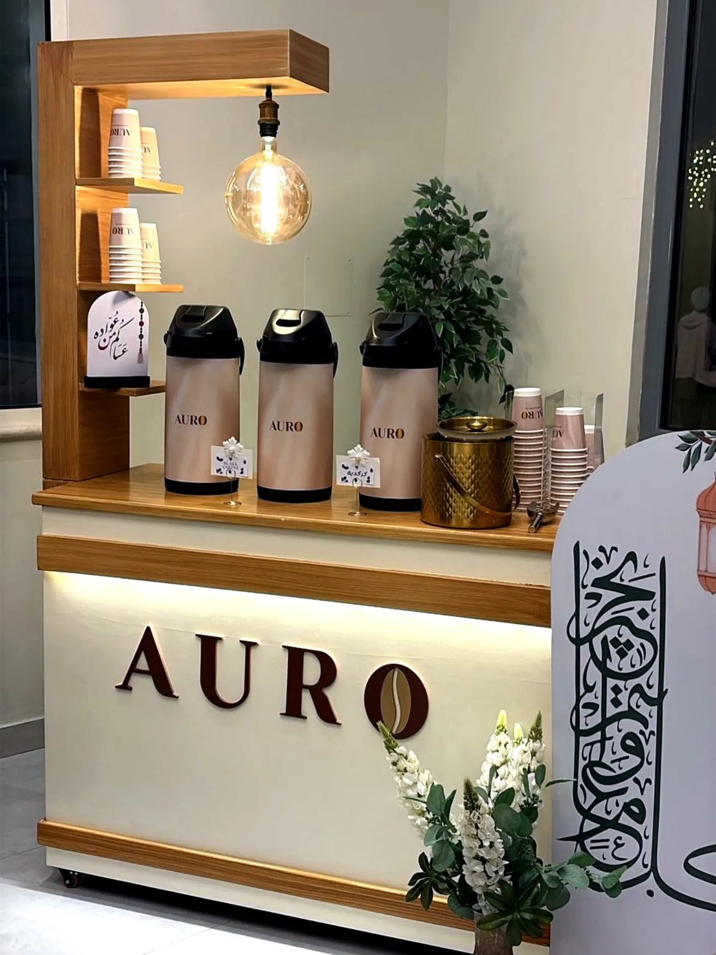 صورة من فعاليات AURO