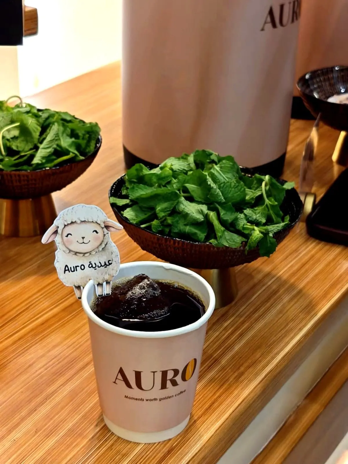 صورة من فعاليات AURO