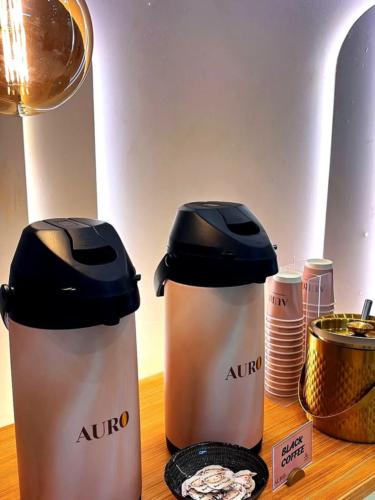 صورة من فعاليات AURO